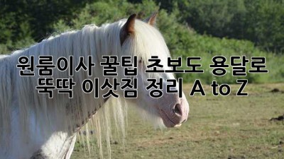 원룸이사 꿀팁🍯: 초보도 용달로 뚝딱! 이삿짐 정리 A to Z
